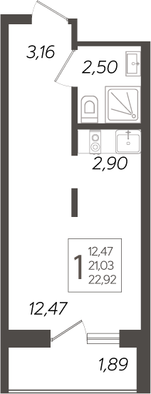 Студия, 21.03 м², 18/19 этаж, ЖК «Кислород»