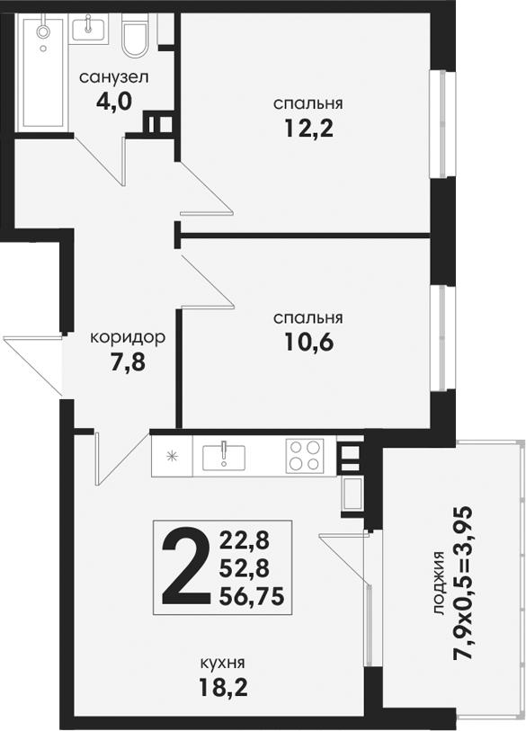 3-комн. Новая Елизаветка