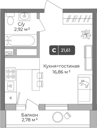 Студия Цитрус