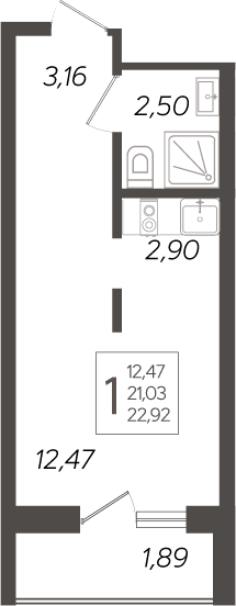 Студия, 21.03 м², 14/19 этаж, ЖК «Кислород»