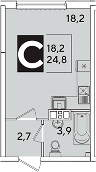 Студия, 24.8 м², 9/16 этаж, ЖК «Самолет»