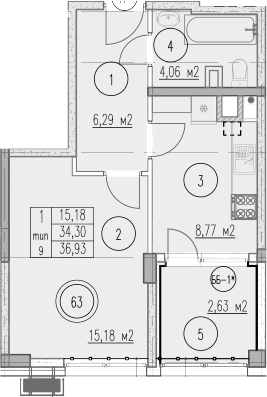 1-комн., 34.3 м², 1/9 этаж, ЖК «Agoy Park Residence by Lavicon»