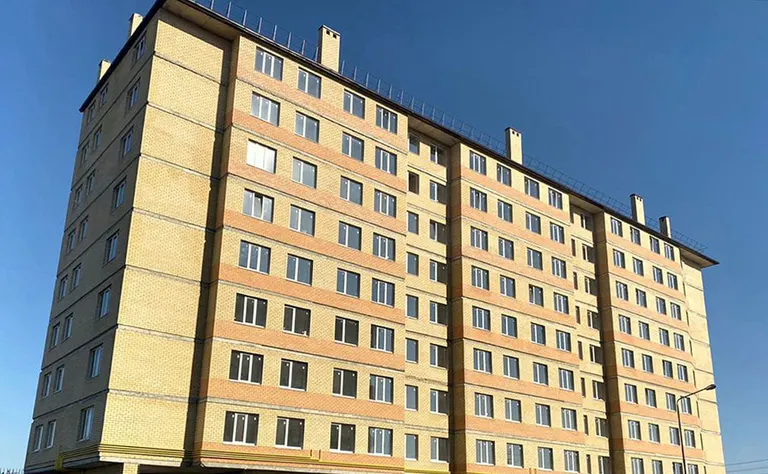 Южная звезда. Гринстрой — фото 3