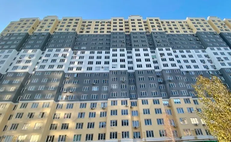 Семейный. Новостой — фото 3