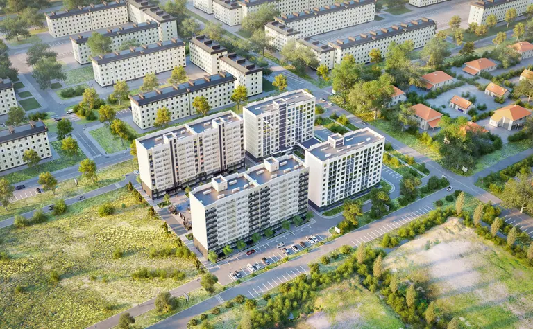 Цитрус — фото 9