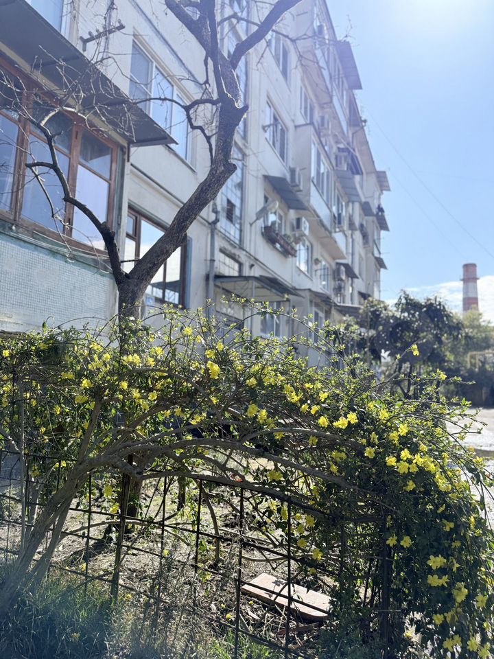 1-комн., 31.4 м², 3/5 этаж, г.о. Сочи, с. Орёл-Изумруд, Малиновая ул., 1 — фото 3