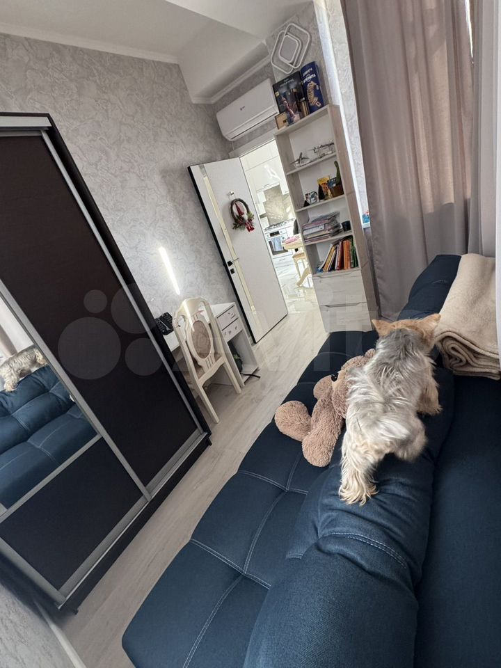 3-комн., 50 м², 1/8 этаж, г.о. Сочи, с. Орёл-Изумруд, Банановая ул., 13/10Б — фото 5
