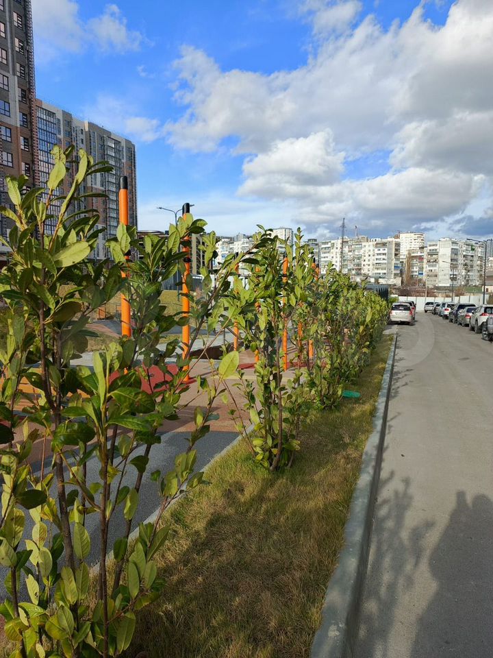 3-комн., 83.5 м², 14/16 этаж, Новороссийск, ул. имени Владимира Бута, 15к1 — фото 2