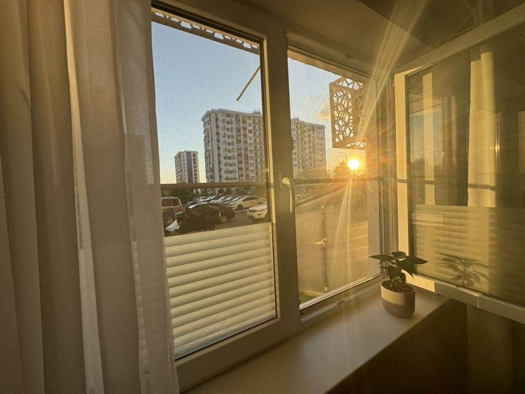 1-комн., 22.4 м², 1/12 этаж, федеральная территория Сириус, пгт. Сириус, ул. Акаций, 34к5 — фото 5
