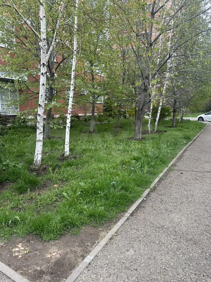 2-комн. квартира, 68.5 м² в ЖК Фестивальный — фото 3