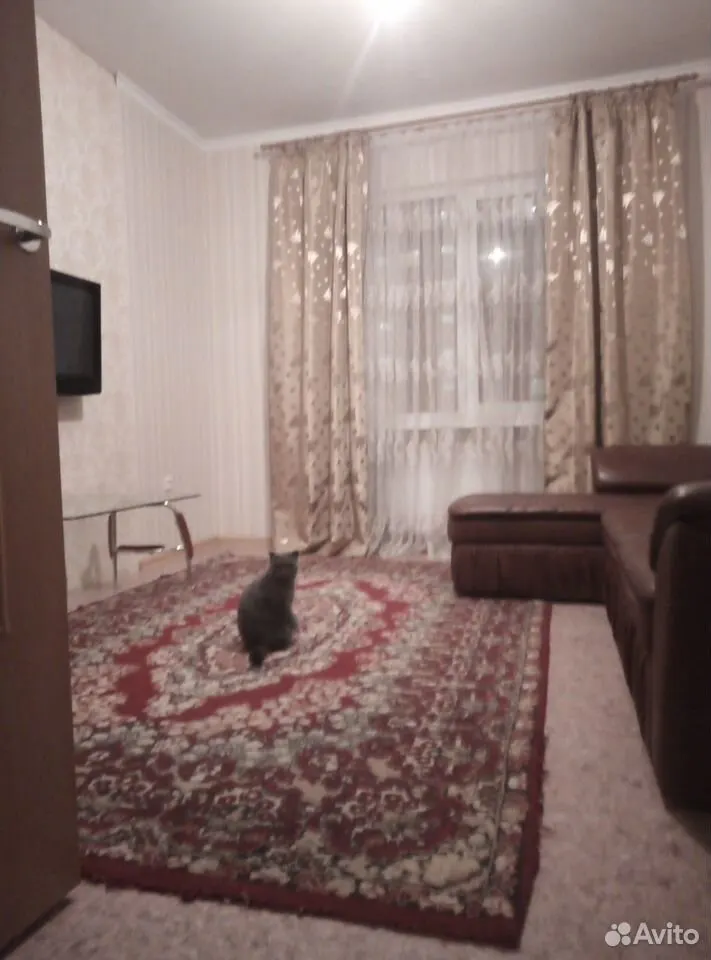 2-комн. квартира