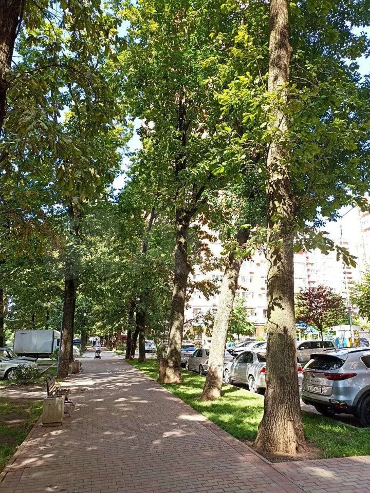 2-комн. квартира, 55 м² — фото 3