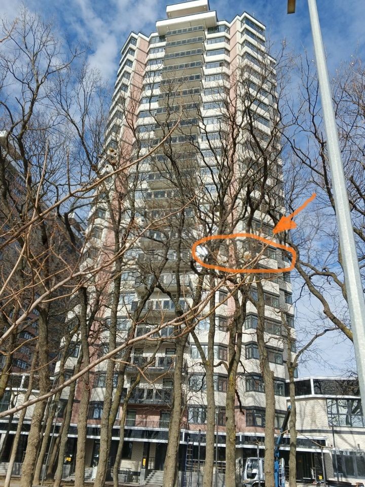 3-комн. квартира, 86 м² в ЖК Восточно-Кругликовский — фото 2
