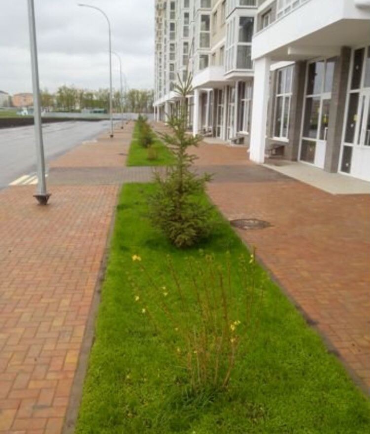 2-комн. квартира, 55.3 м² — фото 2