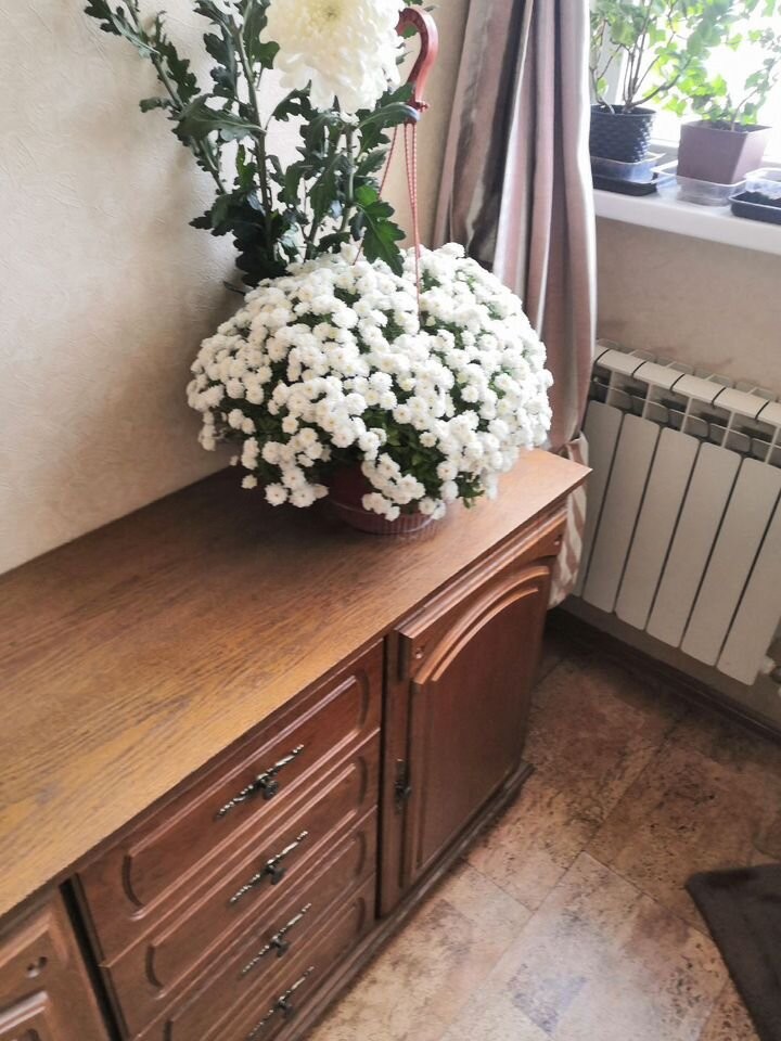 1-комн. квартира