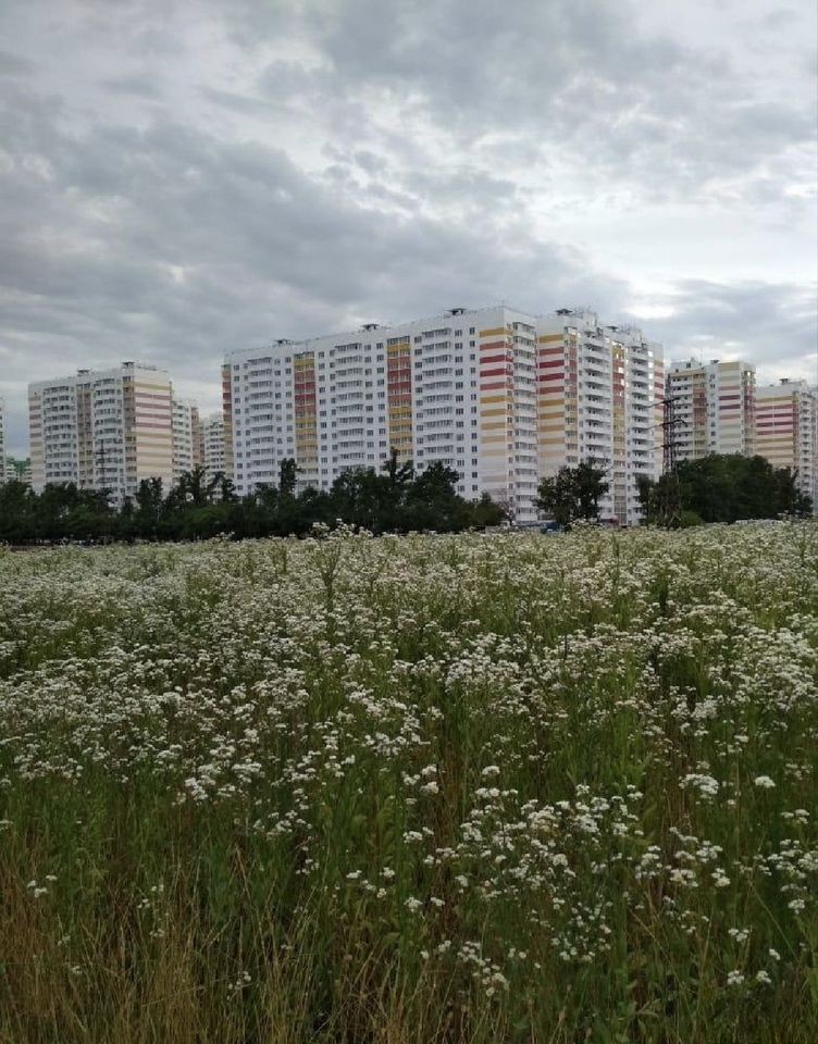3-комн., 78 м², 14/16 этаж, ул. Генерала Трошева, 45