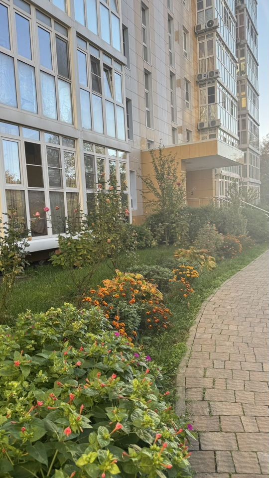 1-комн. квартира