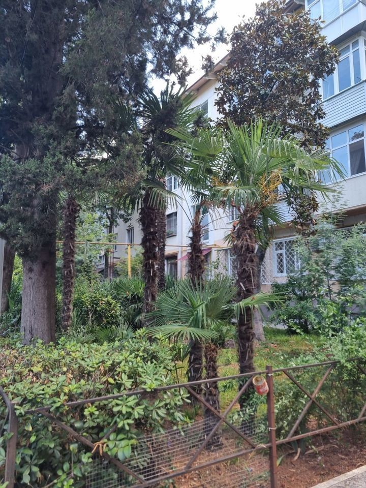 3-комн., 85.7 м², 1/4 этаж, г Сочи, ул Чайковского, д 25/2