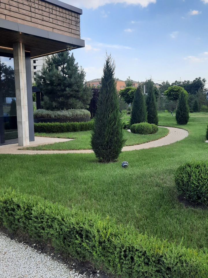 1-комн. квартира