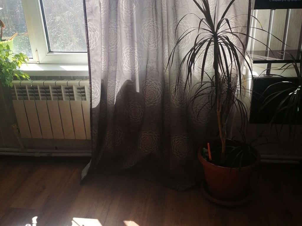 3-комн., 81 м², 2/2 этаж, Анапа — фото 2