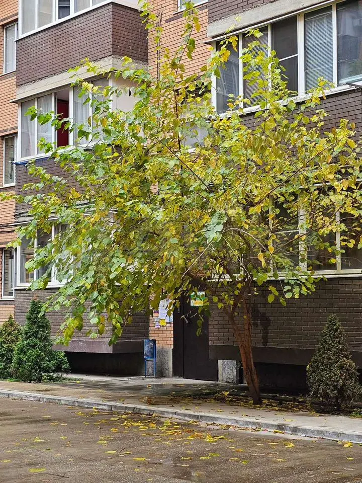 1-комн. квартира, 39.9 м² в ЖК Кубанский — фото 5