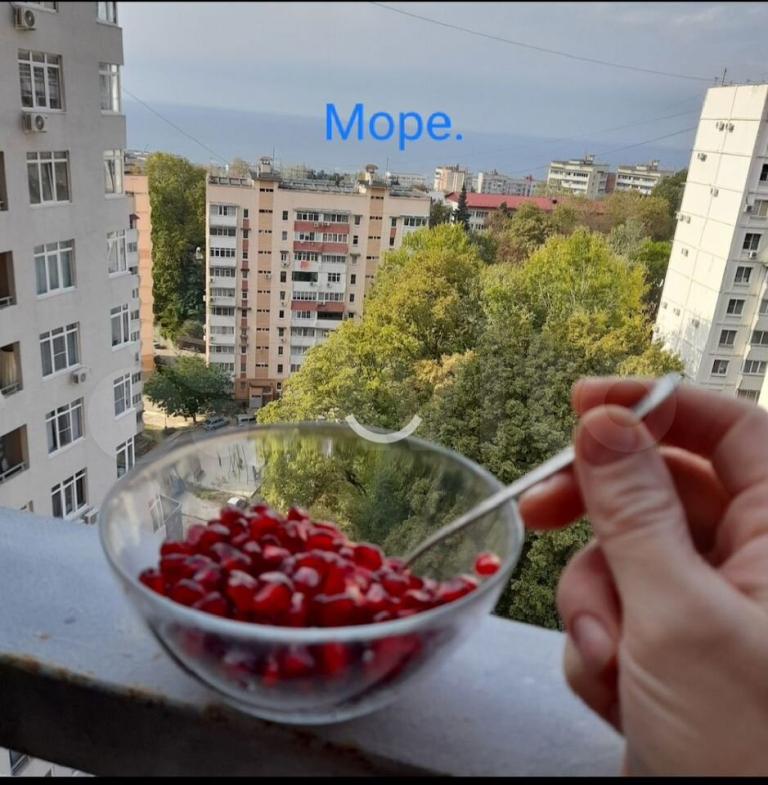 1-комн., 32.6 м², 10/14 этаж, Сочи, жилой район Адлер, Троицкая ул., 31/2 — фото 3