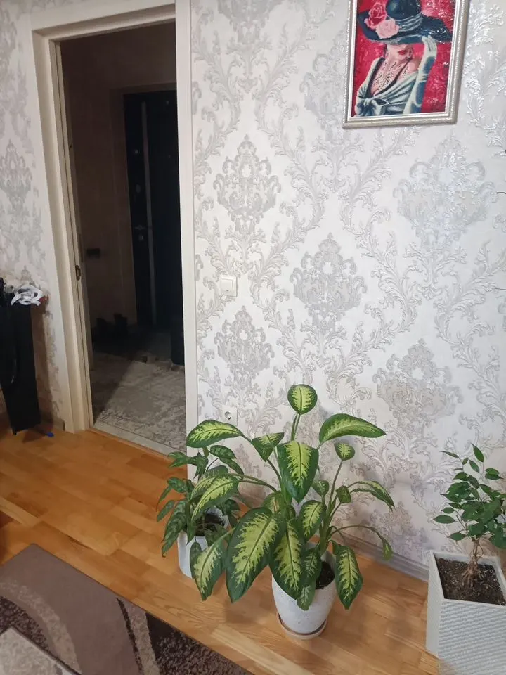 1-комн., 32.3 м², 3/3 этаж, ул. имени Петра Анжу, лит1 — фото 3
