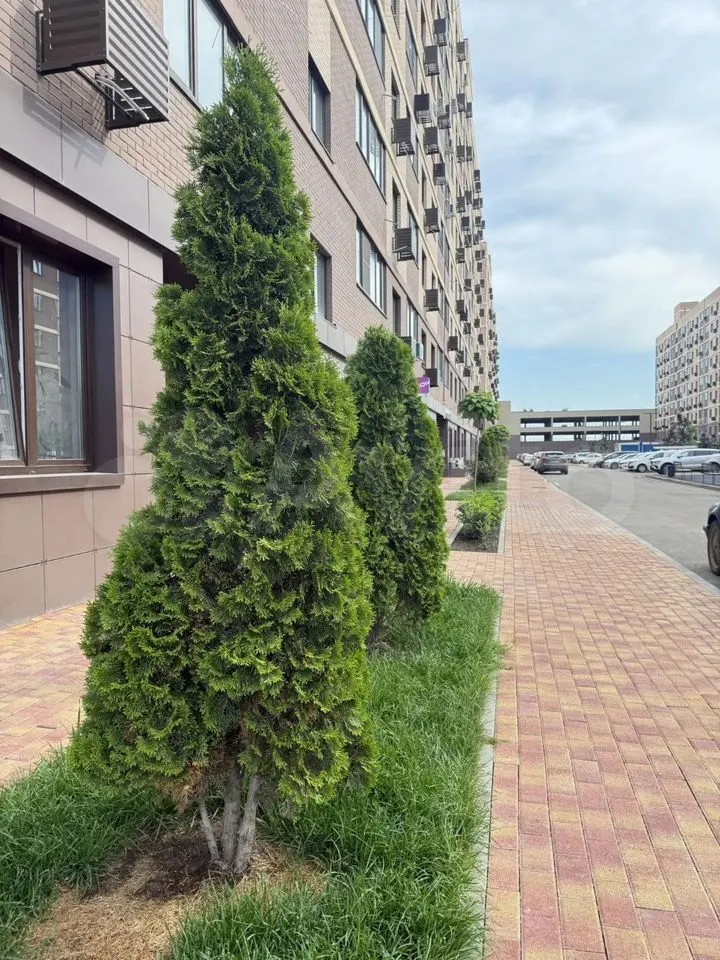 1-комн. квартира