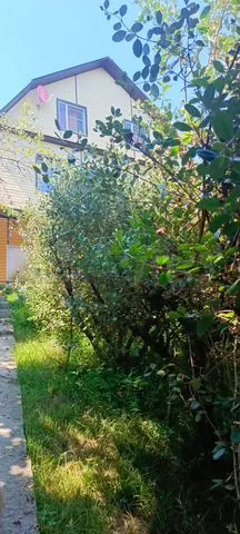 4+ комнаты, 250 м², ЖК «Загородный квартал Лесочи» — фото 2