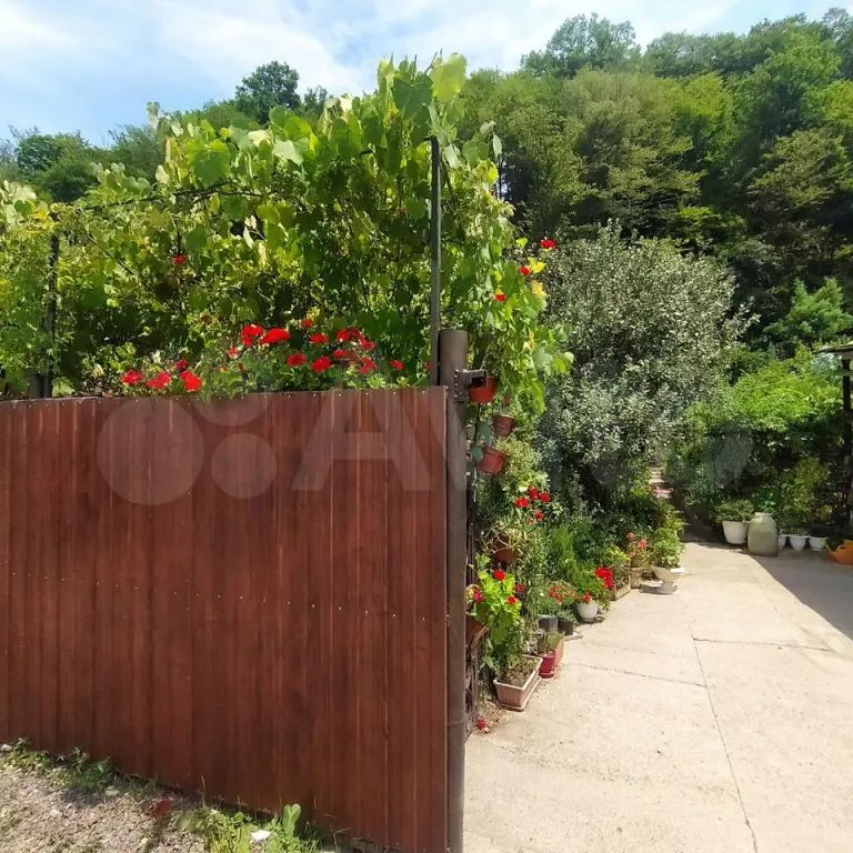 4+ комнаты, 100 м², г.о. Сочи, с. Пластунка — фото 3