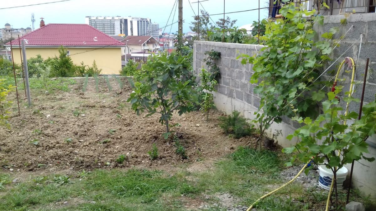 2-комн., 74 м², Сочи, мкр-н Верхнеимеретинская Бухта — фото 2