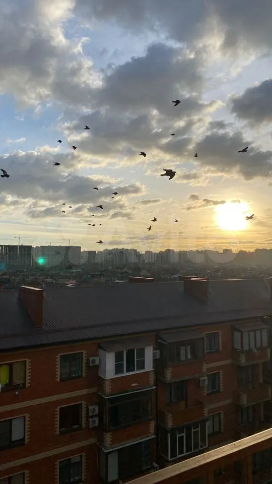 3-комн. квартира, 86.8 м² в ЖК Кубанский — фото 4