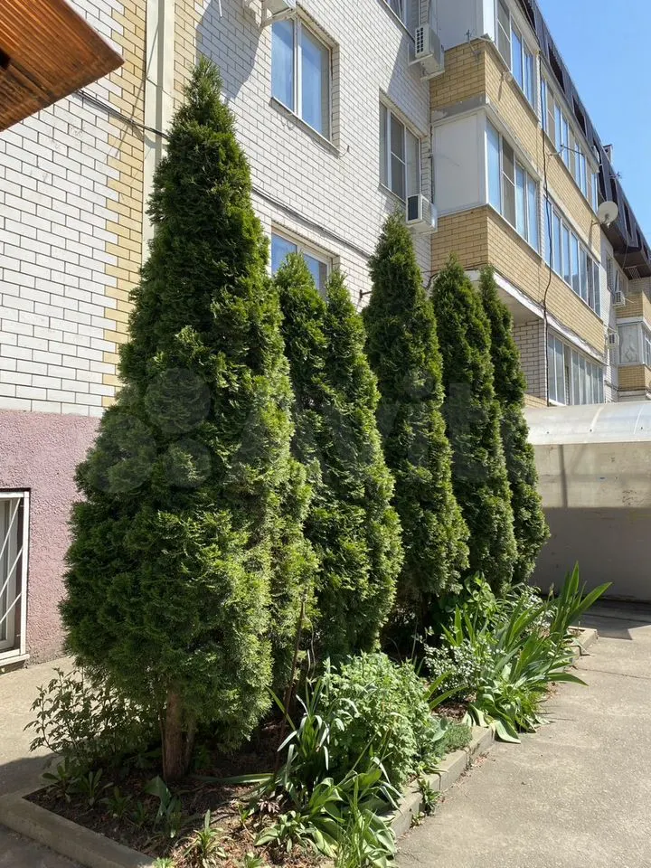 1-комн., 36 м², 4/5 этаж, ул. Краеведа Соловьёва, 2/2 — фото 3