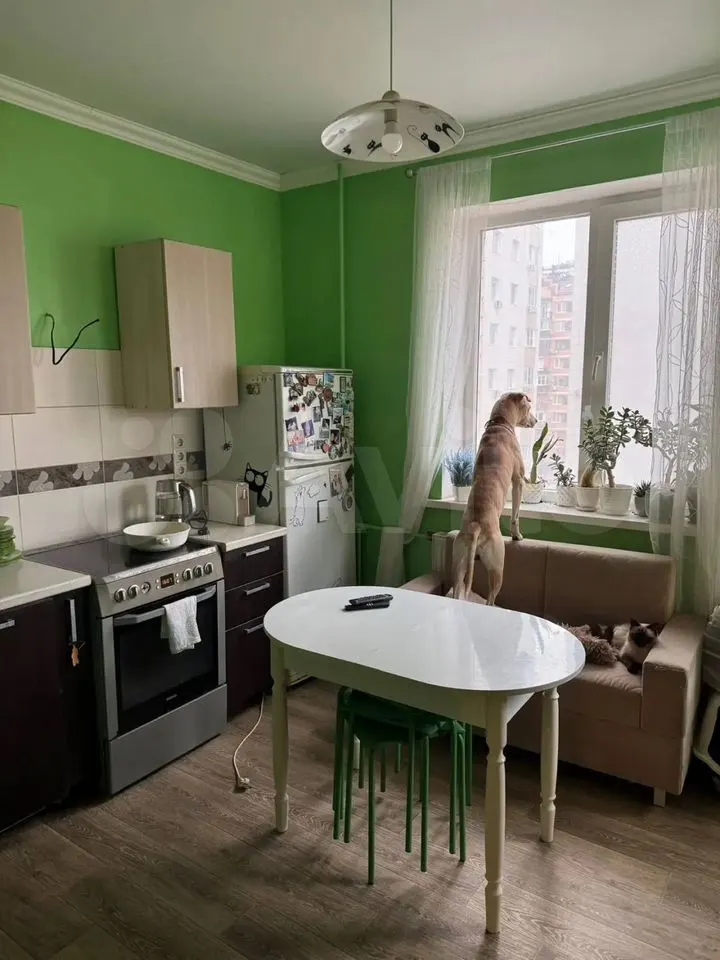 1-комн. квартира