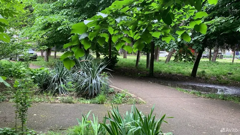 1-комн., 30.3 м², 1/5 этаж, Карасунский внутригородской округ, мкр-н Гидростроителей, ул. Дмитрия Благоева, 18 — фото 4